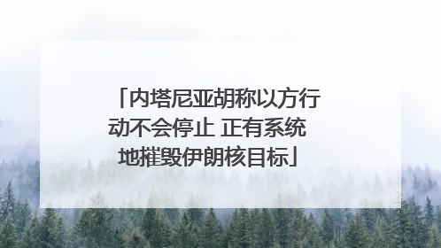 内塔尼亚胡称以方行动不会停止 正有系统地摧毁伊朗核目标