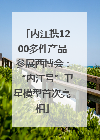 内江携1200多件产品参展西博会：“内江号”卫星模型首次亮相