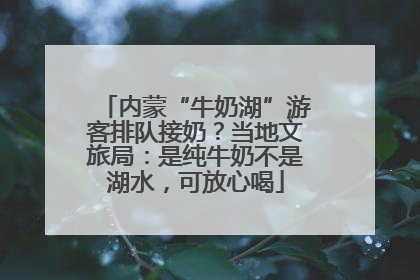 内蒙“牛奶湖”游客排队接奶？当地文旅局：是纯牛奶不是湖水，可放心喝