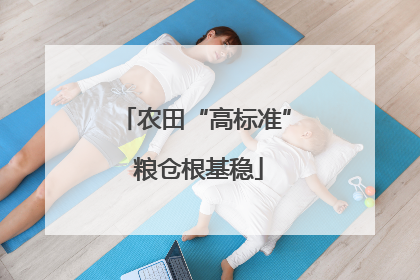 农田“高标准” 粮仓根基稳