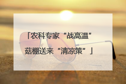 农科专家“战高温” 菇棚送来“清凉策”