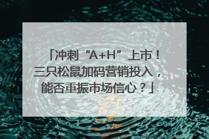 冲刺“A+H”上市！三只松鼠加码营销投入，能否重振市场信心？