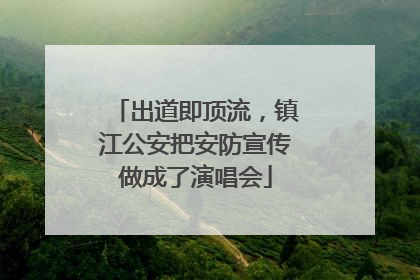 出道即顶流，镇江公安把安防宣传做成了演唱会