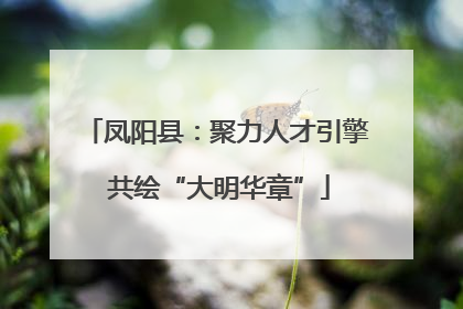 凤阳县：聚力人才引擎 共绘“大明华章”