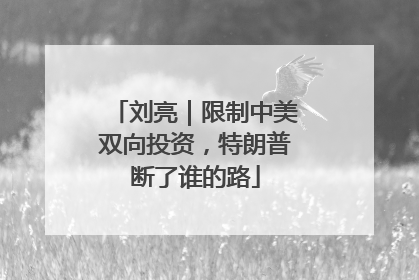 刘亮｜限制中美双向投资，特朗普断了谁的路