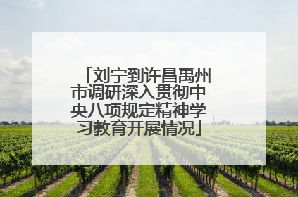 刘宁到许昌禹州市调研深入贯彻中央八项规定精神学习教育开展情况