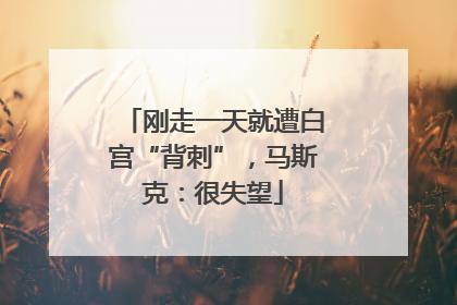 刚走一天就遭白宫“背刺”，马斯克：很失望