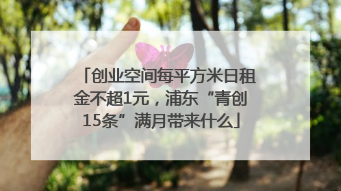 创业空间每平方米日租金不超1元，浦东“青创15条”满月带来什么