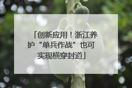 创新应用！浙江养护“单兵作战”也可实现横穿封道