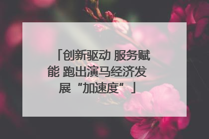 创新驱动 服务赋能 跑出演马经济发展“加速度”