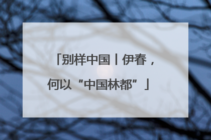 别样中国丨伊春，何以“中国林都”