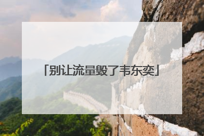 别让流量毁了韦东奕