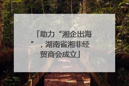 助力“湘企出海”，湖南省湘非经贸商会成立
