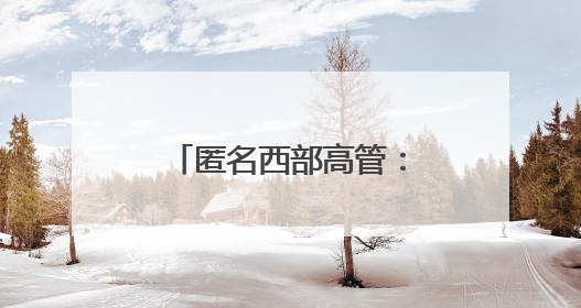 匿名西部高管：湖人对布朗尼有明确的培养计划