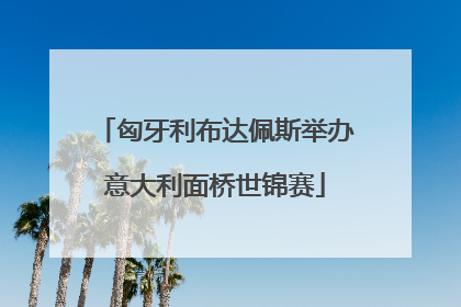 匈牙利布达佩斯举办意大利面桥世锦赛
