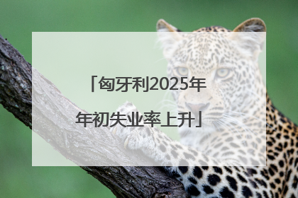 匈牙利2025年年初失业率上升
