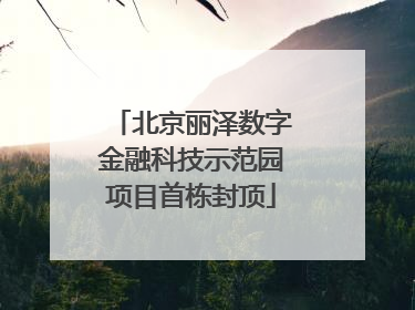 北京丽泽数字金融科技示范园项目首栋封顶