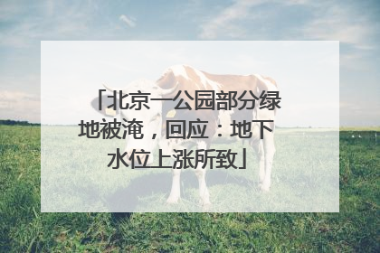 北京一公园部分绿地被淹，回应：地下水位上涨所致