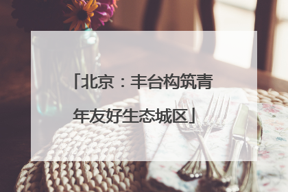 北京：丰台构筑青年友好生态城区