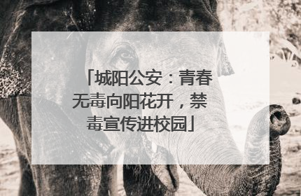城阳公安：青春无毒向阳花开，禁毒宣传进校园