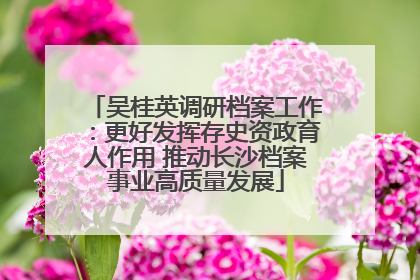吴桂英调研档案工作：更好发挥存史资政育人作用 推动长沙档案事业高质量发展