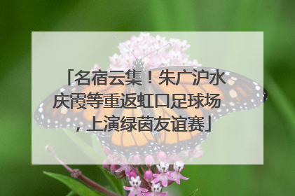 名宿云集！朱广沪水庆霞等重返虹口足球场，上演绿茵友谊赛