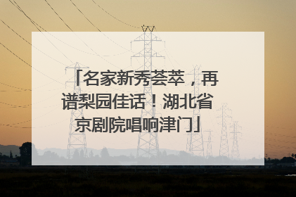 名家新秀荟萃，再谱梨园佳话！湖北省京剧院唱响津门