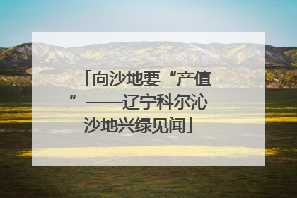 向沙地要“产值”——辽宁科尔沁沙地兴绿见闻