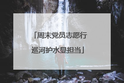 周末党员志愿行 巡河护水显担当