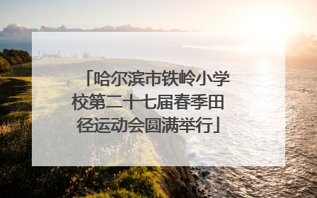 哈尔滨市铁岭小学校第二十七届春季田径运动会圆满举行