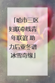 哈市三区妇联牵线青年联谊 助力后亚冬谱冰雪奇缘
