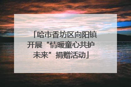 哈市香坊区向阳镇开展“情暖童心共护未来”捐赠活动