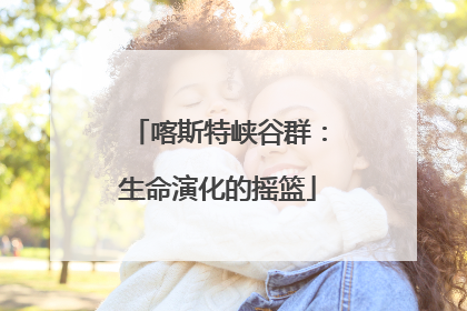 喀斯特峡谷群：生命演化的摇篮