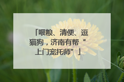 喂粮、清便、逗猫狗，济南有帮“上门宠托师”