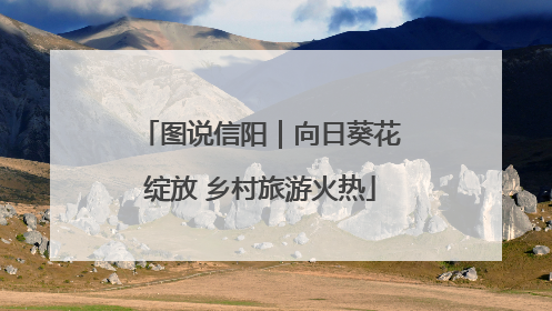 图说信阳｜向日葵花绽放 乡村旅游火热