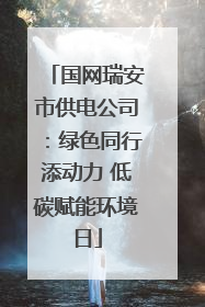 国网瑞安市供电公司：绿色同行添动力 低碳赋能环境日