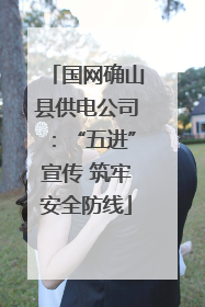 国网确山县供电公司：“五进”宣传 筑牢安全防线