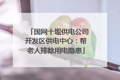国网十堰供电公司开发区供电中心：帮老人排除用电隐患