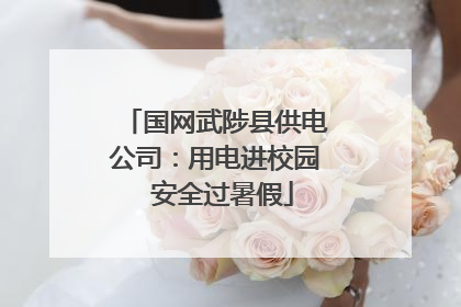国网武陟县供电公司：用电进校园  安全过暑假