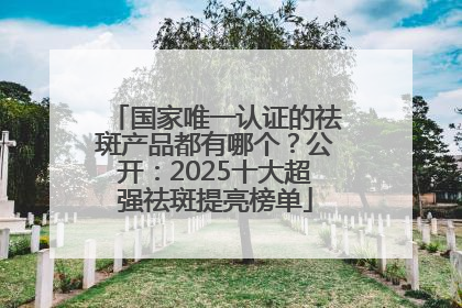 国家唯一认证的祛斑产品都有哪个？公开：2025十大超强祛斑提亮榜单