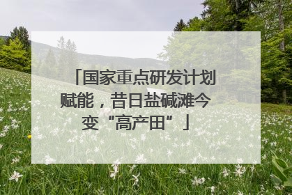 国家重点研发计划赋能，昔日盐碱滩今变“高产田”