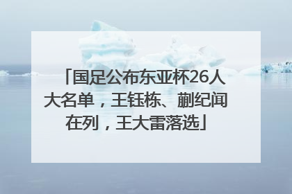 国足公布东亚杯26人大名单，王钰栋、蒯纪闻在列，王大雷落选
