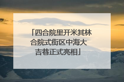 四合院里开米其林 合院式街区中海大吉巷正式亮相