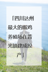 四川达州最大的蛋鸡养殖场在普光镇建成投产