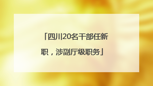 四川20名干部任新职，涉副厅级职务
