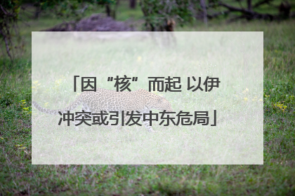 因“核”而起 以伊冲突或引发中东危局