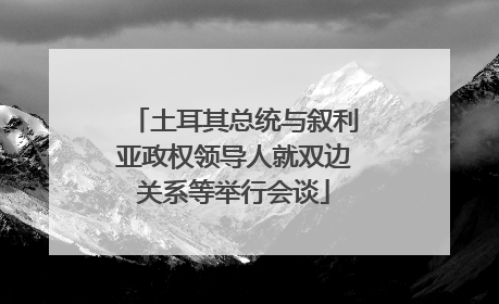 土耳其总统与叙利亚政权领导人就双边关系等举行会谈
