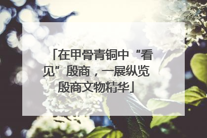 在甲骨青铜中“看见”殷商，一展纵览殷商文物精华