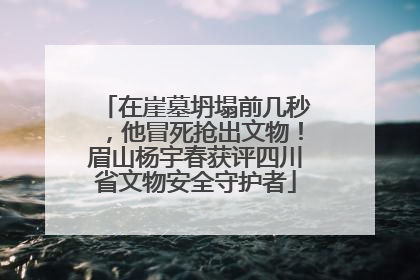 在崖墓坍塌前几秒，他冒死抢出文物！眉山杨宇春获评四川省文物安全守护者