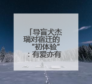 导盲犬杰瑞对宿迁的“初体验”：有爱亦有坎 温情破万难